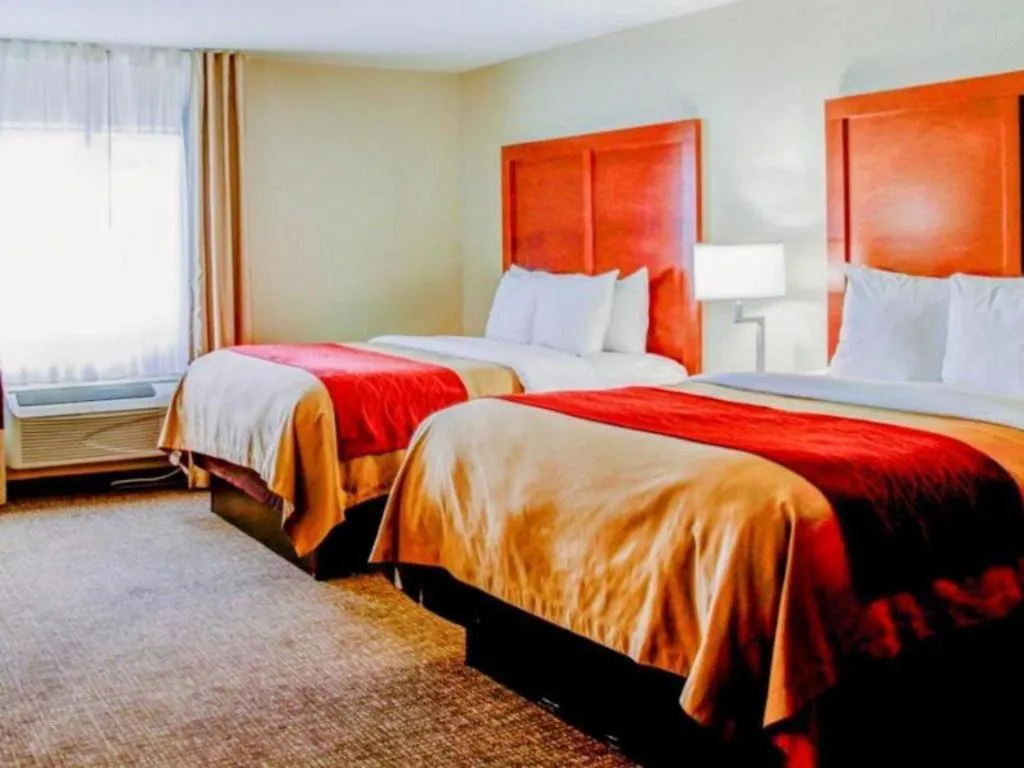 Bed in Comfort Inn Bessemer Birmingham South