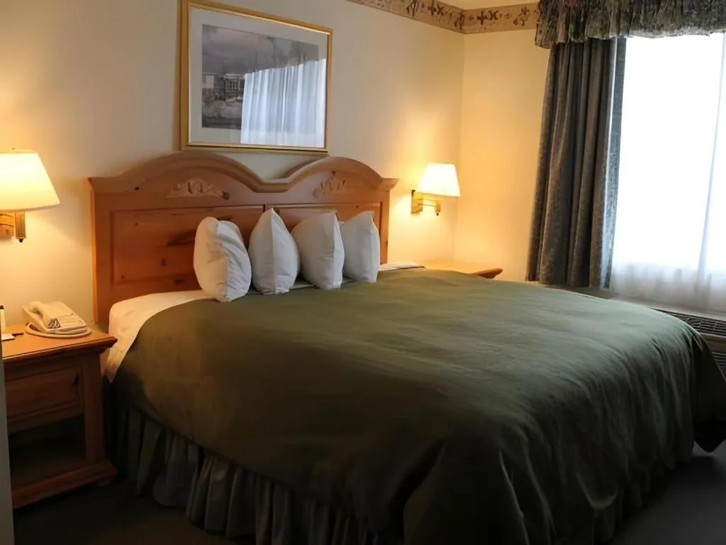 Bed in Country Inn & Suites by Radisson, Dundee, MI