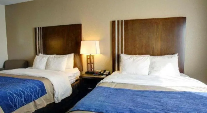 Bed in Comfort Inn & Suites Navasota