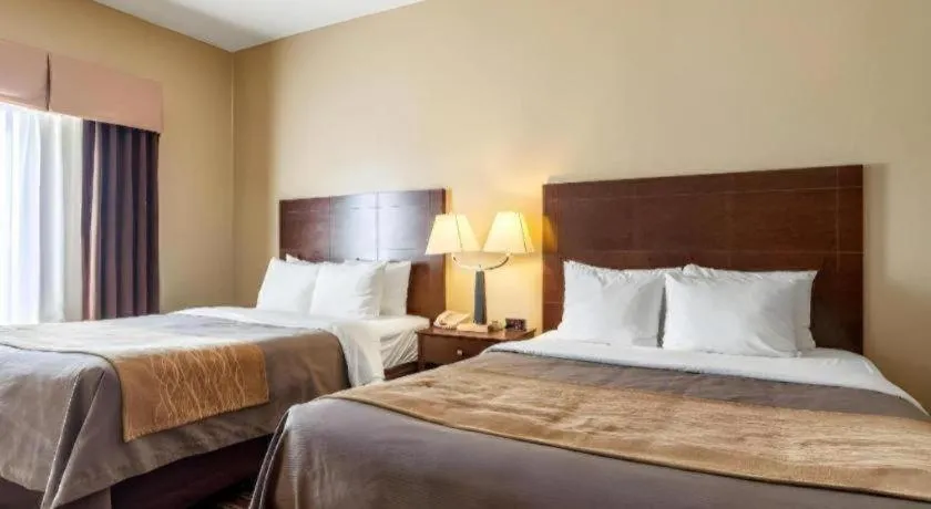 Bed in Quality Inn Clarksdale