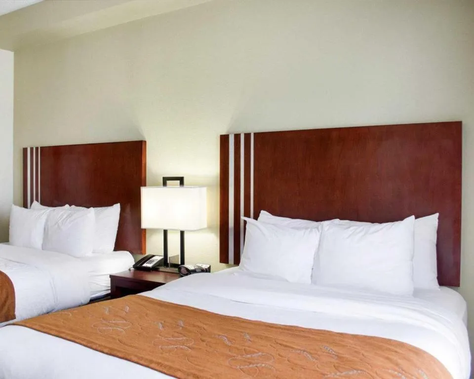 Bed in Comfort Suites Greenwood