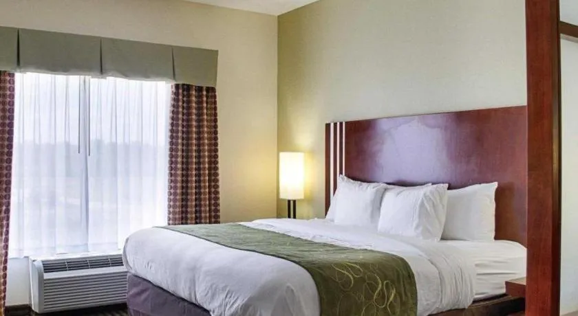Bed in Comfort Suites Greenwood