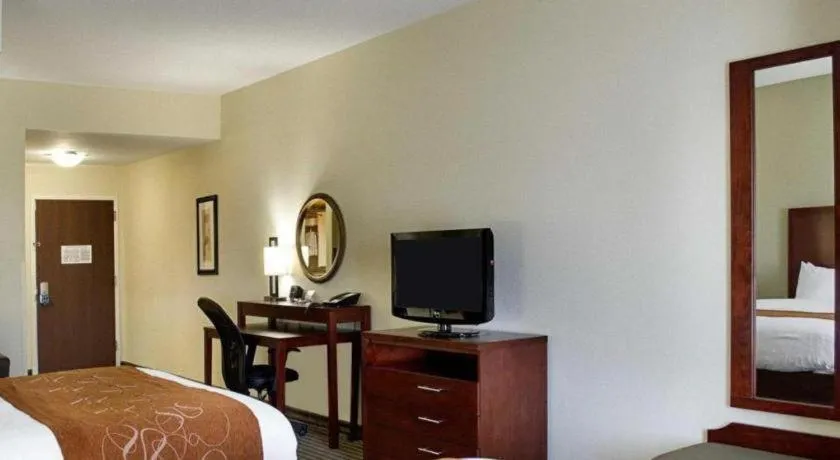 Bed in Comfort Suites Greenwood