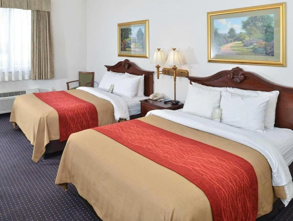 Bed in Comfort Inn & Suites