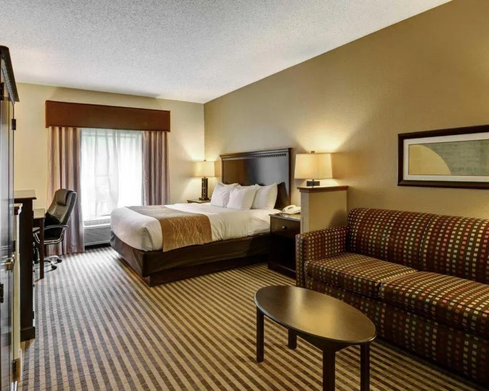 Bed in Comfort Inn & Suites Hot Springs Midtown