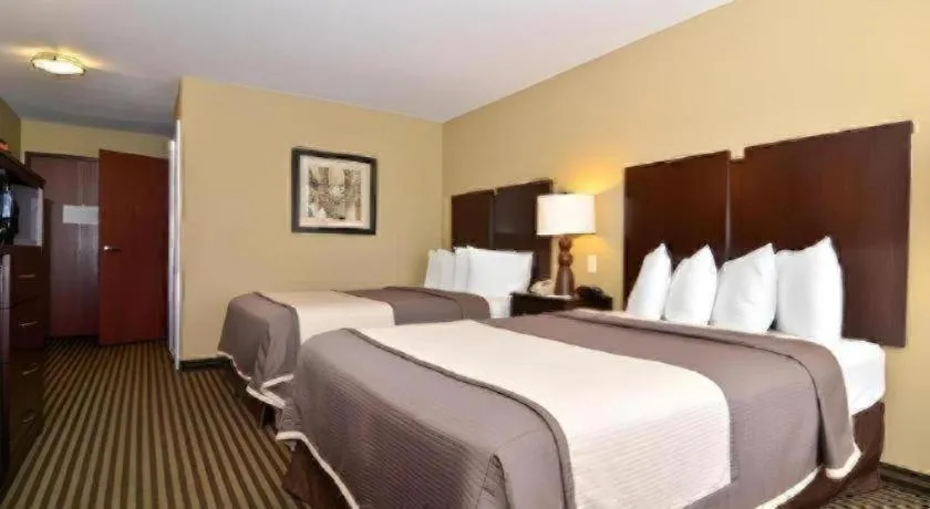 Bed in Best Western Oakdale Inn