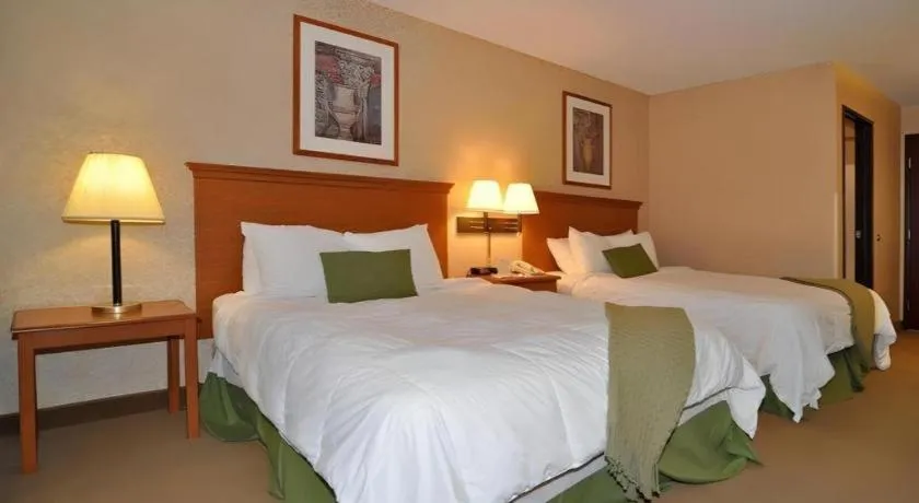 Bed in Best Western Rama Inn