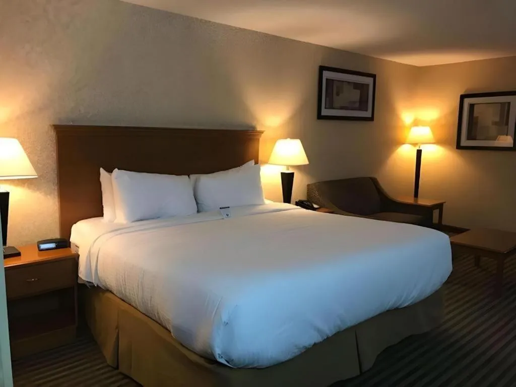 Bed in Best Western Rama Inn