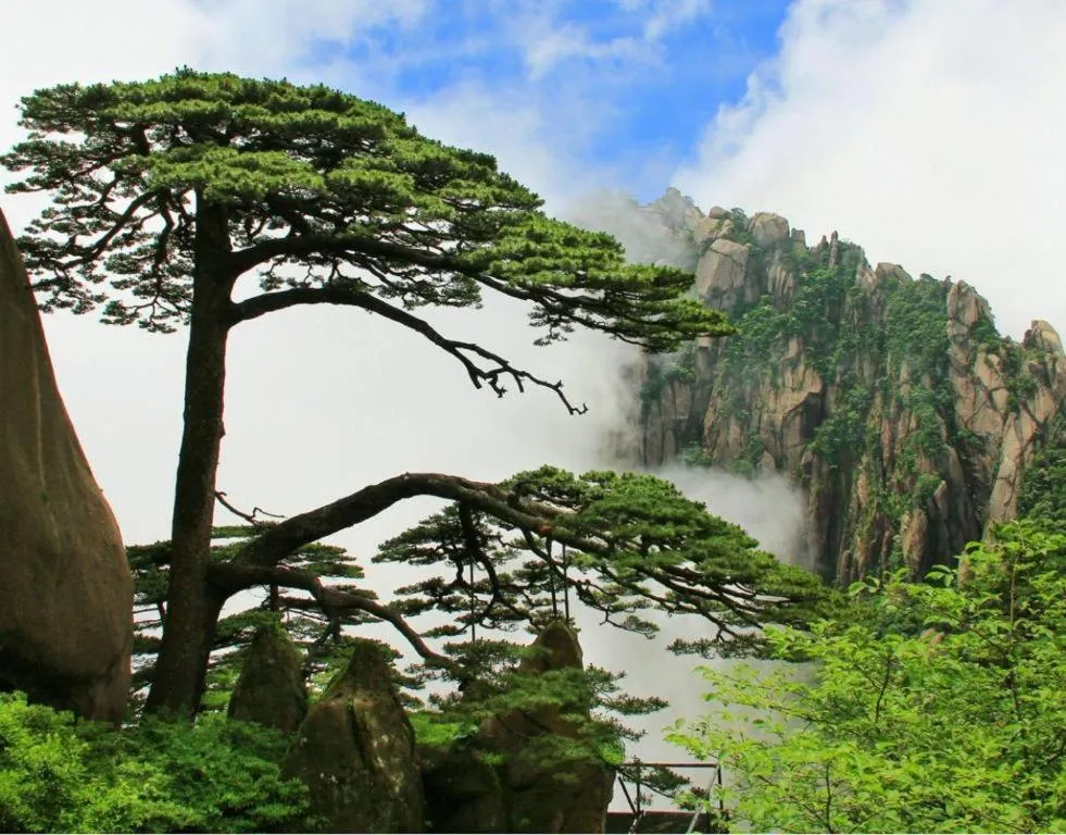 Huangshan Yupinglou Hotel