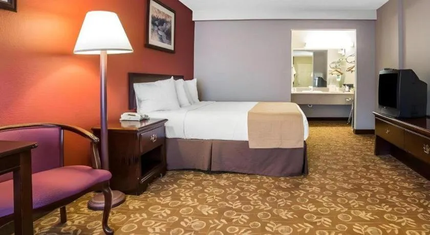 Bed in Quality Inn & Suites Minden