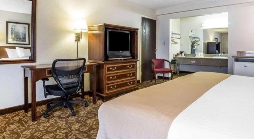 Bed in Quality Inn & Suites Minden