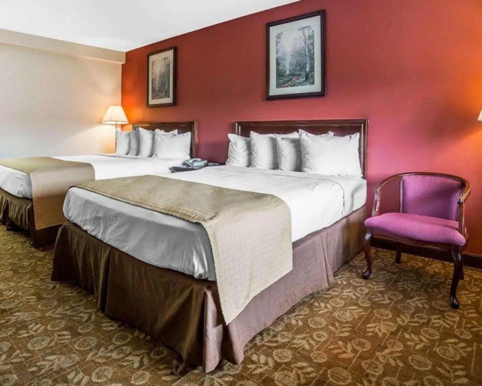 Bed in Quality Inn & Suites Minden