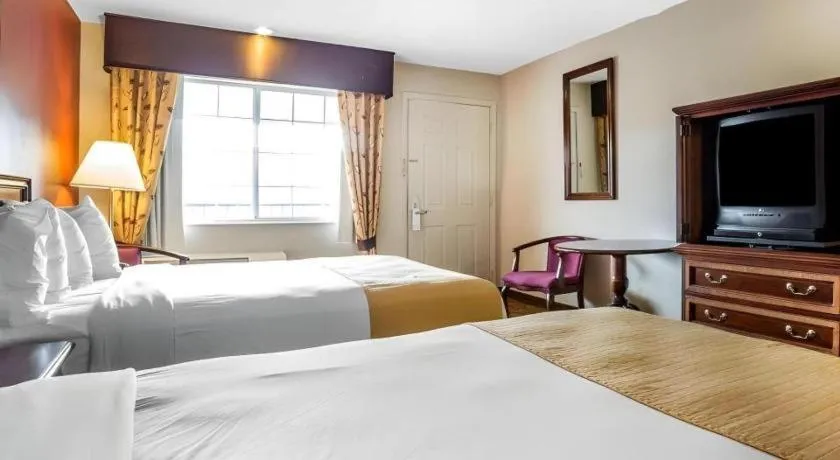 Bed in Quality Inn & Suites Minden