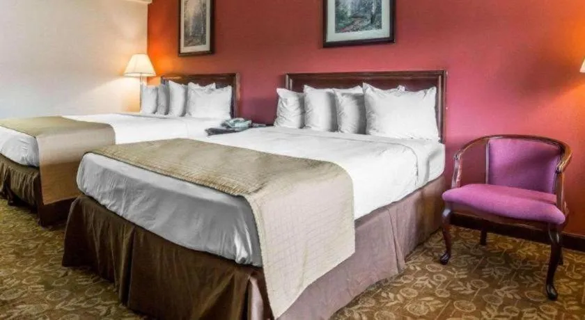 Bed in Quality Inn & Suites Minden