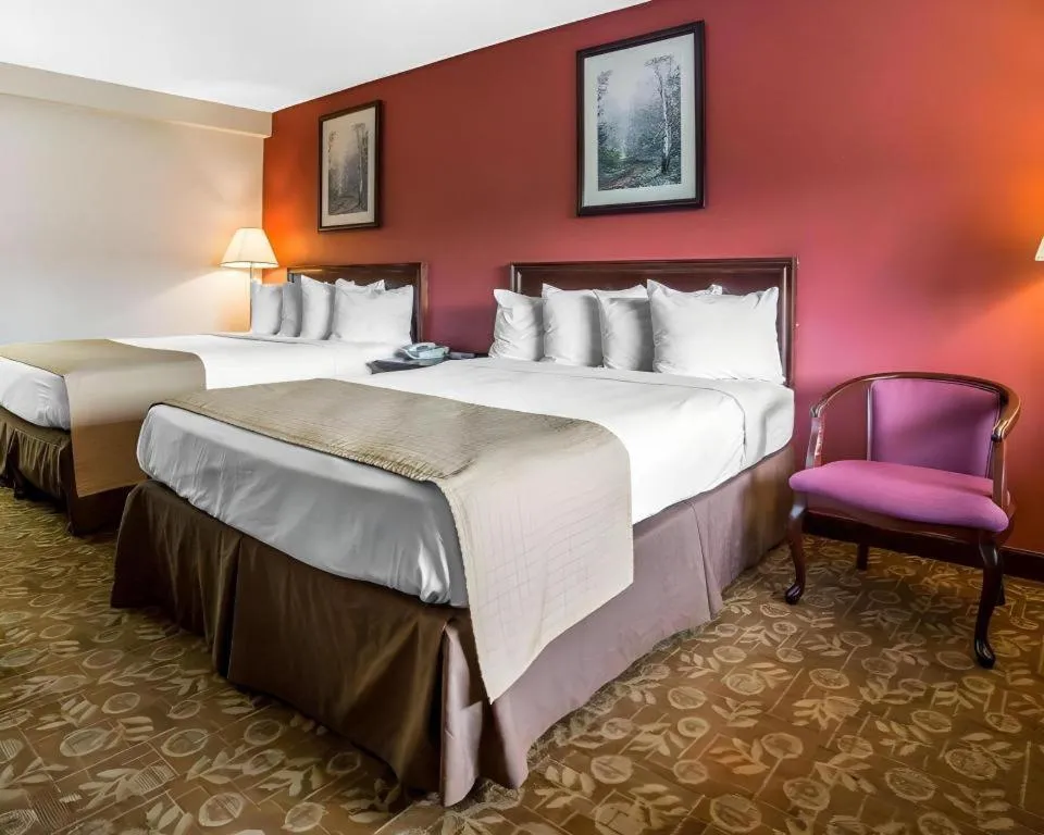 Bed in Quality Inn & Suites Minden