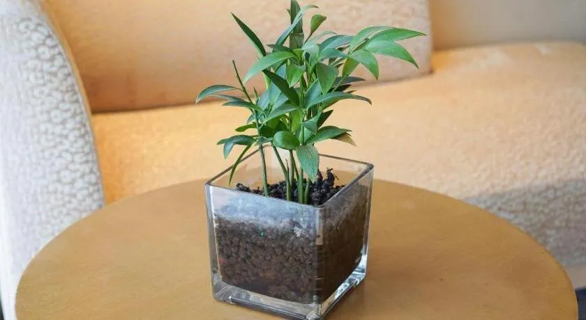 Grand Skylight International Hotel Guiyang