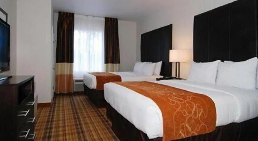 Bed in Comfort Suites Mandeville - Covington