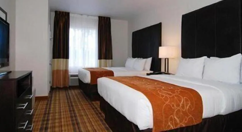 Bed in Comfort Suites Mandeville - Covington