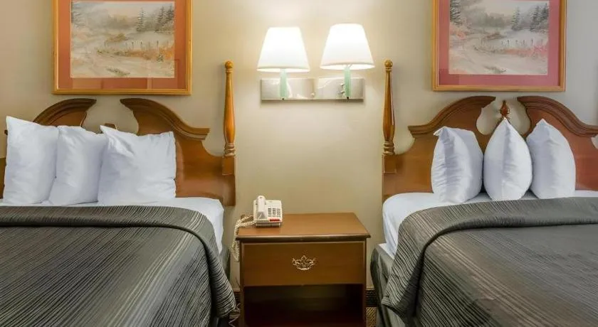 Bed in Quality Inn Reidsville Hwy 29