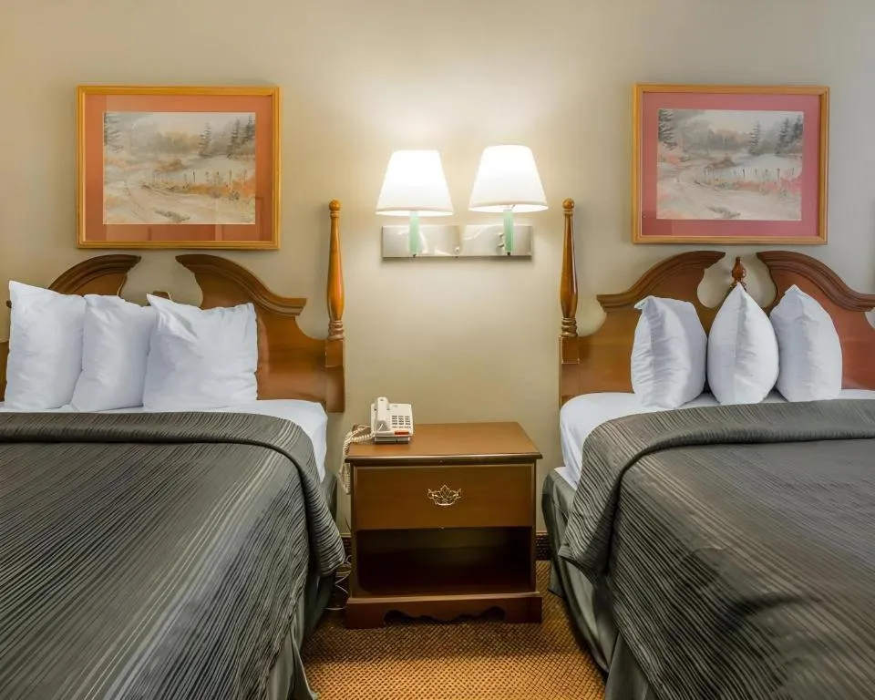 Bed in Quality Inn Reidsville Hwy 29