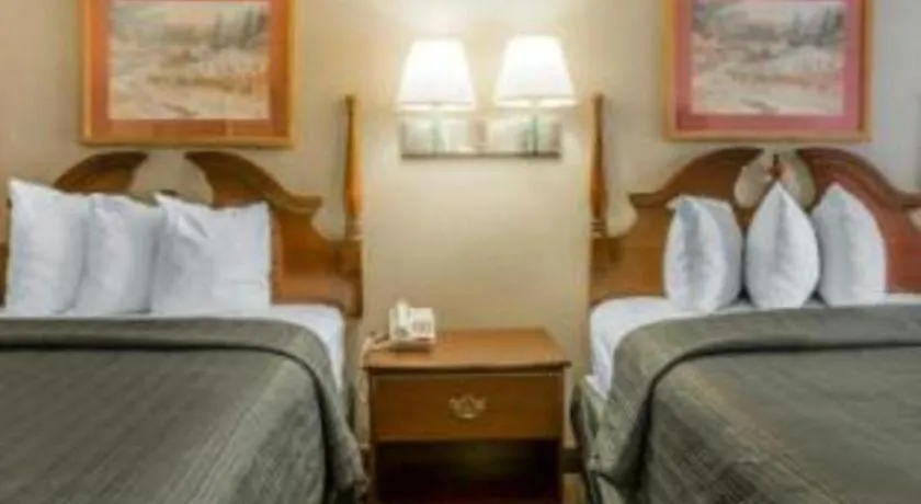 Bed in Quality Inn Reidsville Hwy 29