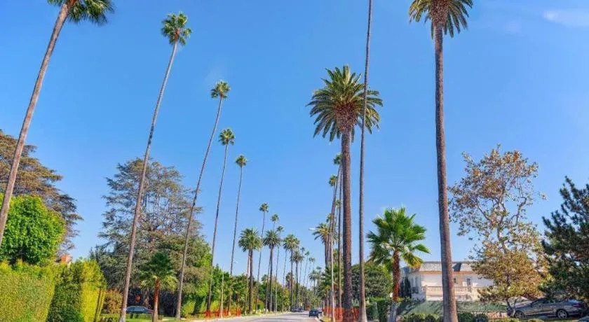 Hotel Normandie Los Angeles