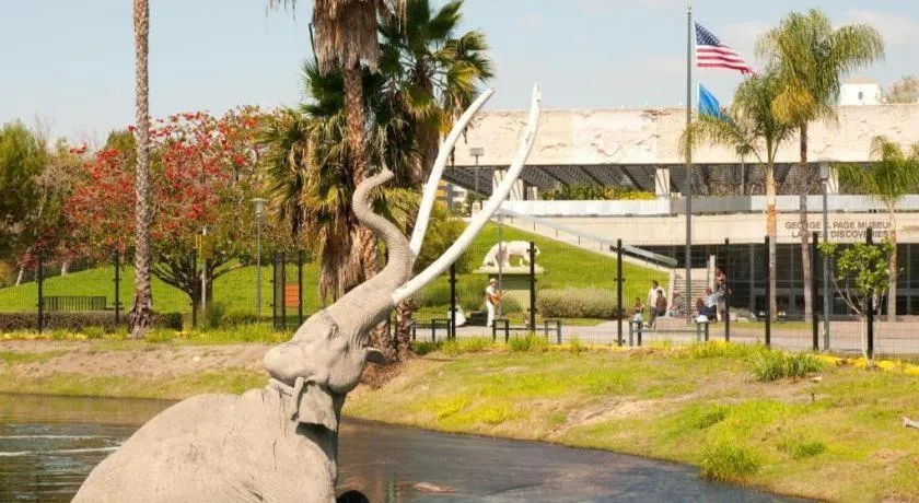 Hotel Normandie Los Angeles