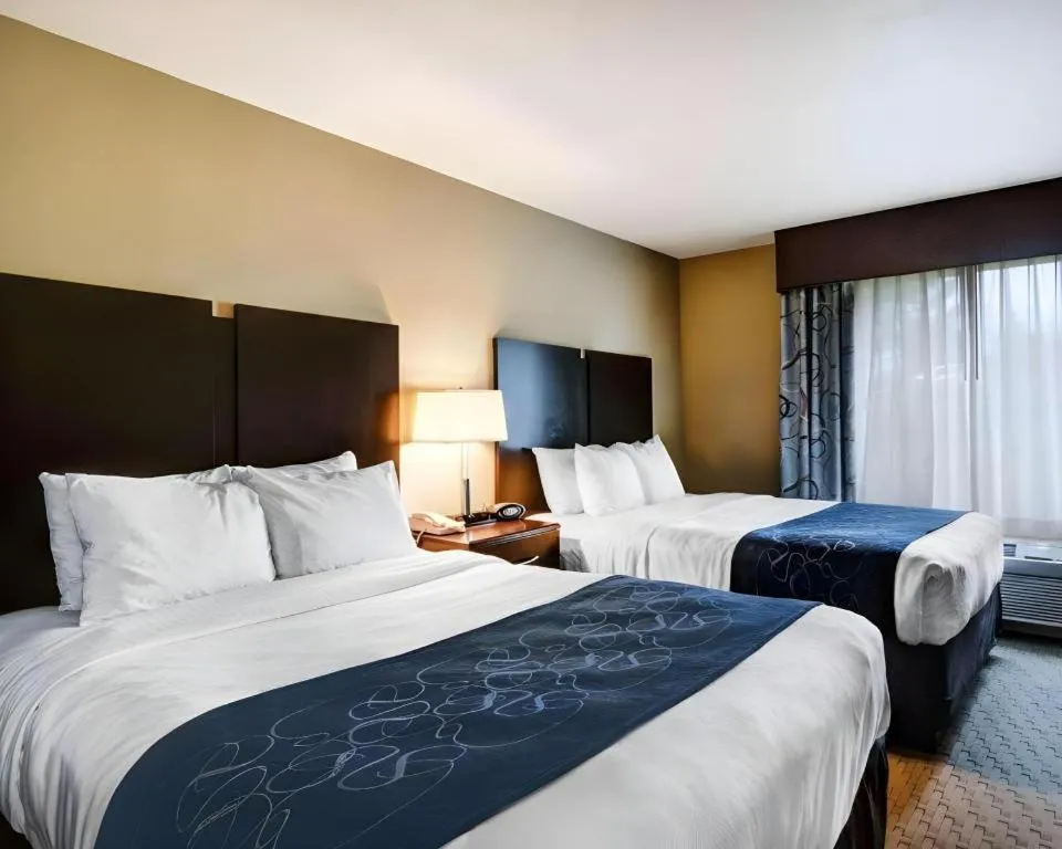 Bed in Comfort Suites near Hot Springs Park