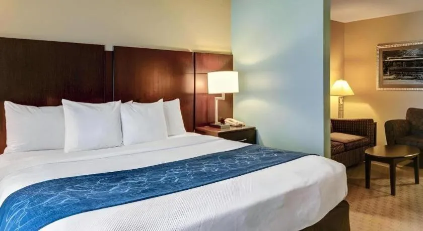 Bed in Comfort Suites near Hot Springs Park