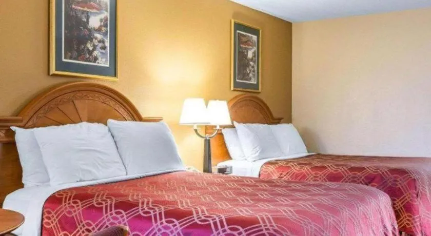 Bed in Econo Lodge Dalton West