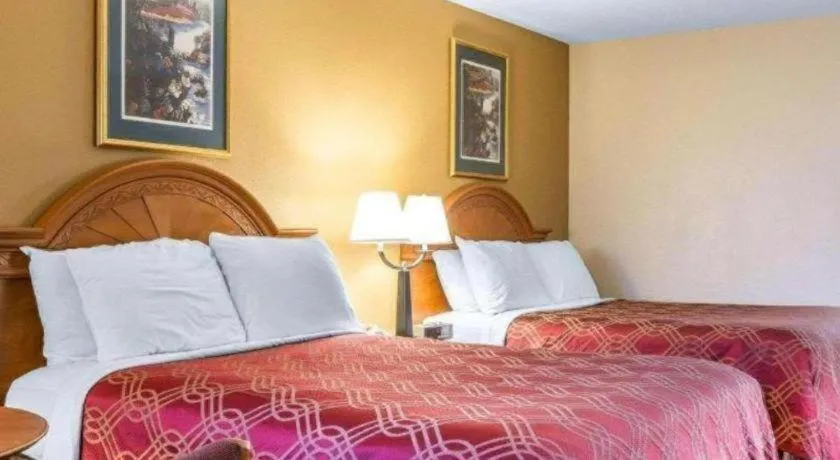 Bed in Econo Lodge Dalton West
