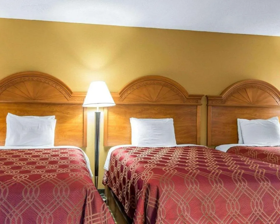 Bed in Econo Lodge Dalton West