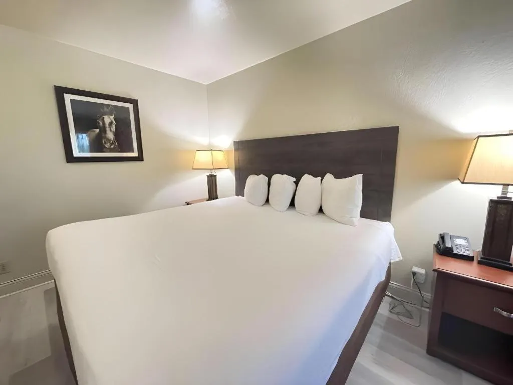 Bed in SureStay Plus by Best Western Lawton