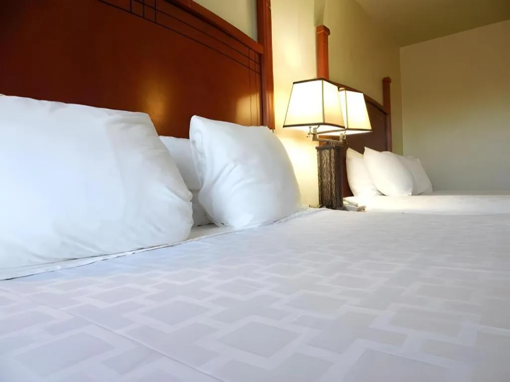 Bed in SureStay Plus by Best Western Lawton