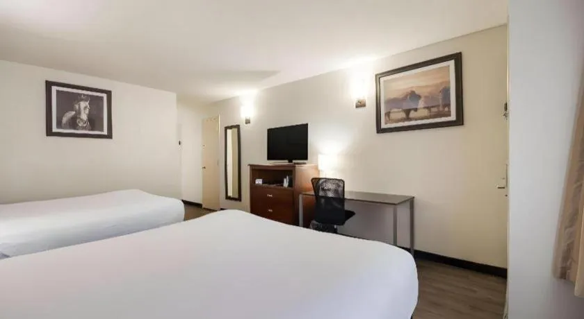 Bed in SureStay Plus by Best Western Lawton