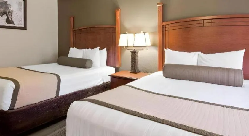 Bed in SureStay Plus by Best Western Lawton