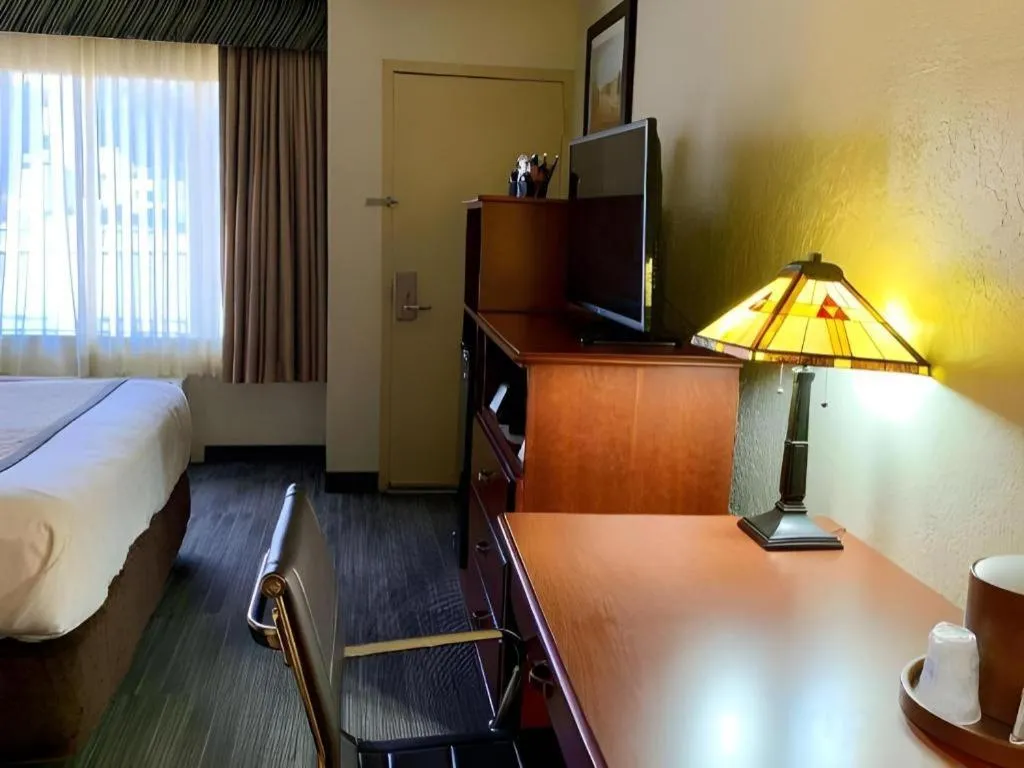 Bed in SureStay Plus by Best Western Lawton