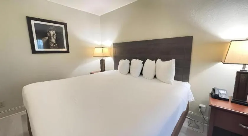 Bed in SureStay Plus by Best Western Lawton