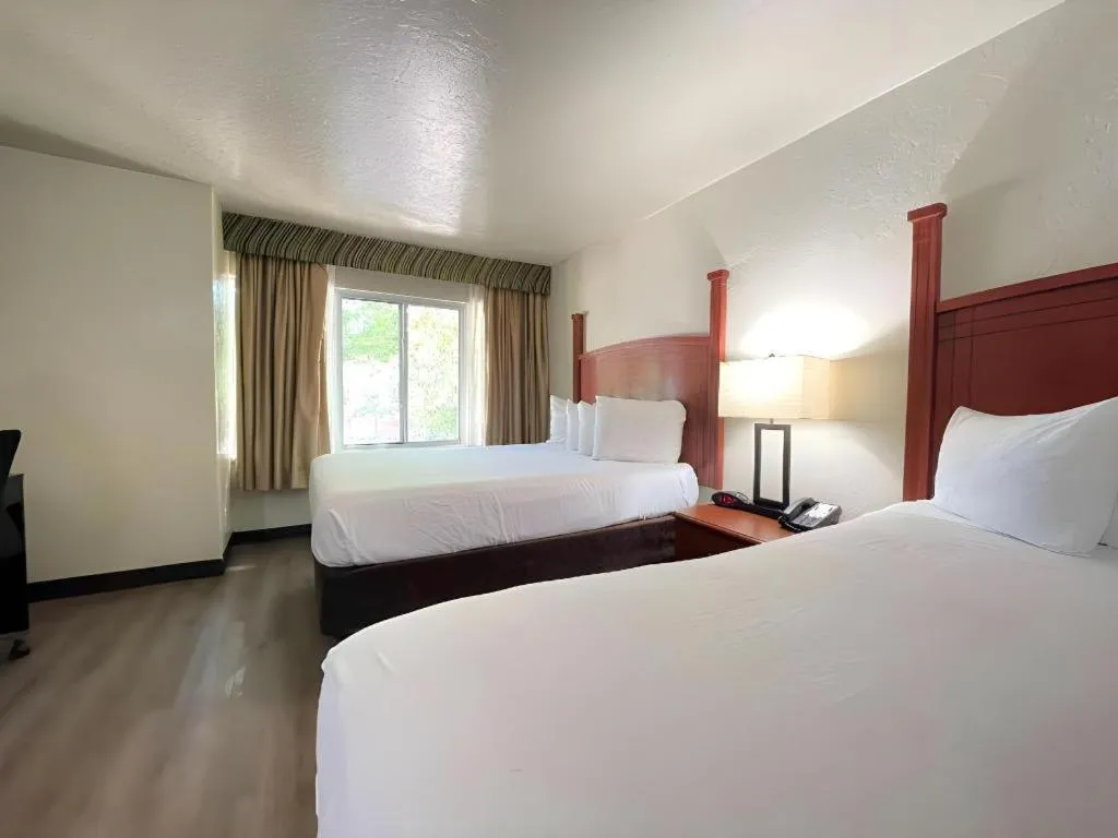 Bed in SureStay Plus by Best Western Lawton