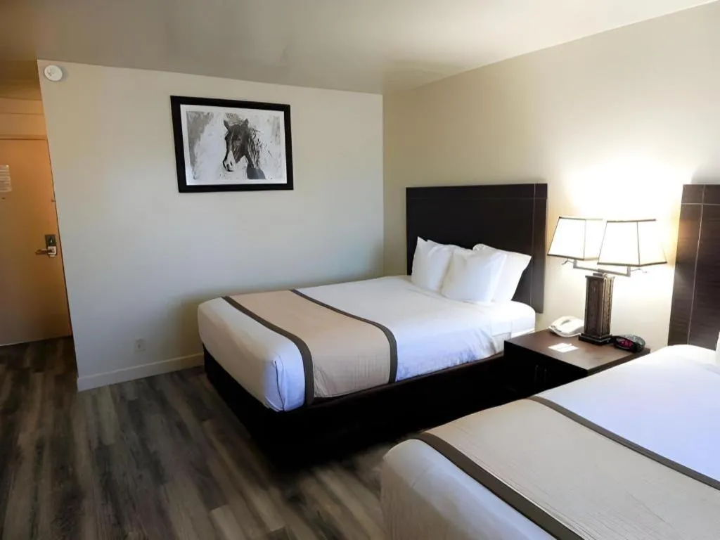 Bed in SureStay Plus by Best Western Lawton