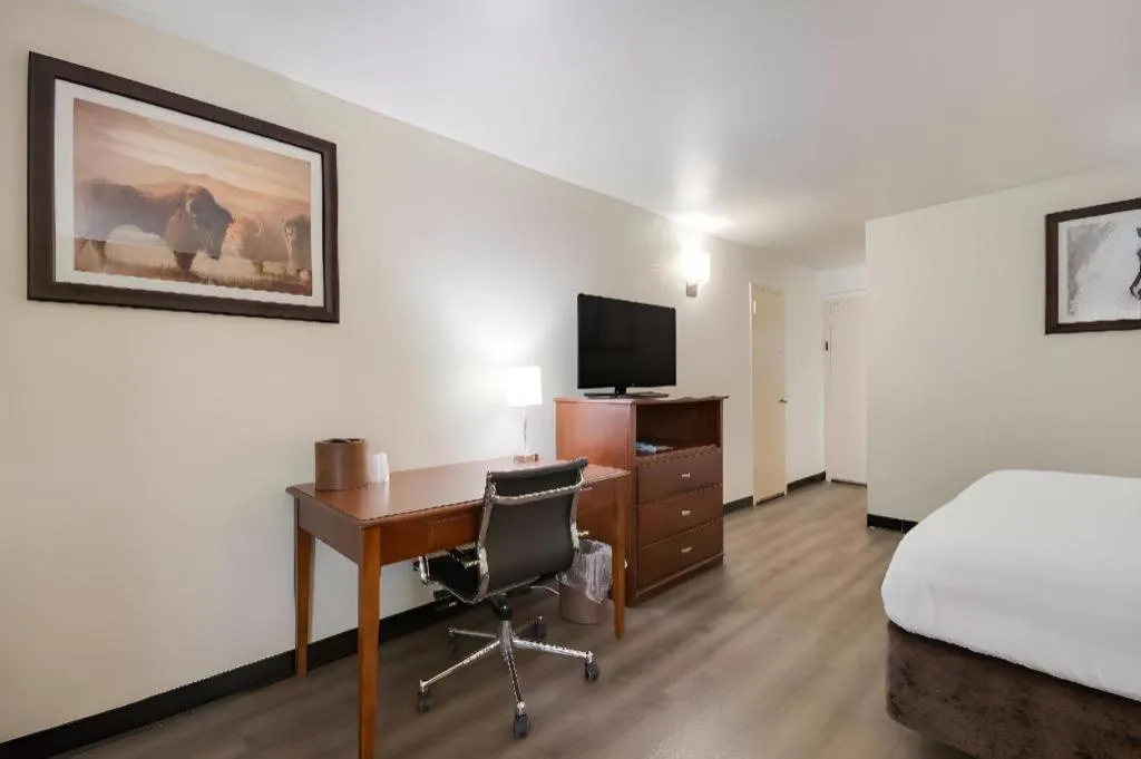 Bed in SureStay Plus by Best Western Lawton