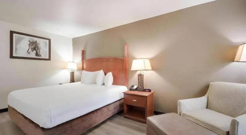 Bed in SureStay Plus by Best Western Lawton