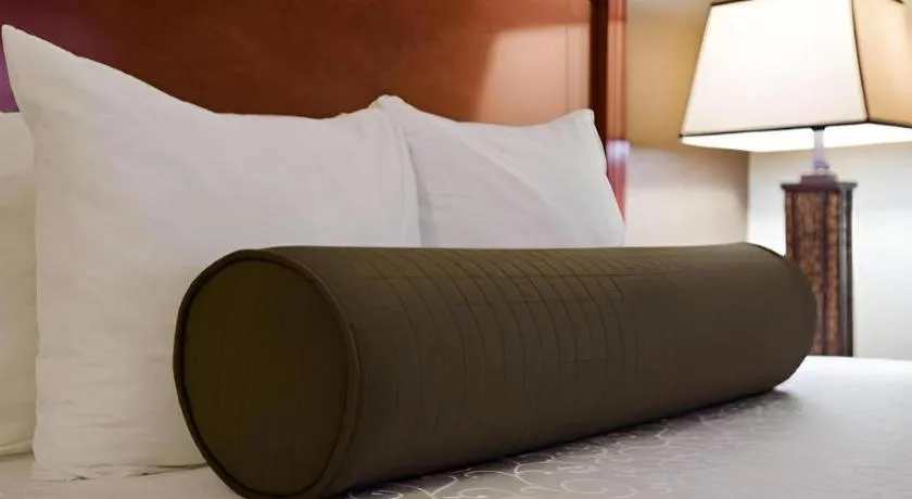 Bed in SureStay Plus by Best Western Lawton