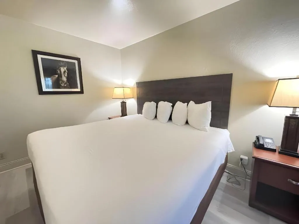 Bed in SureStay Plus by Best Western Lawton