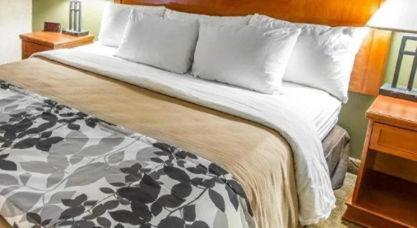 Bed in Sleep Inn Airport Phoenix