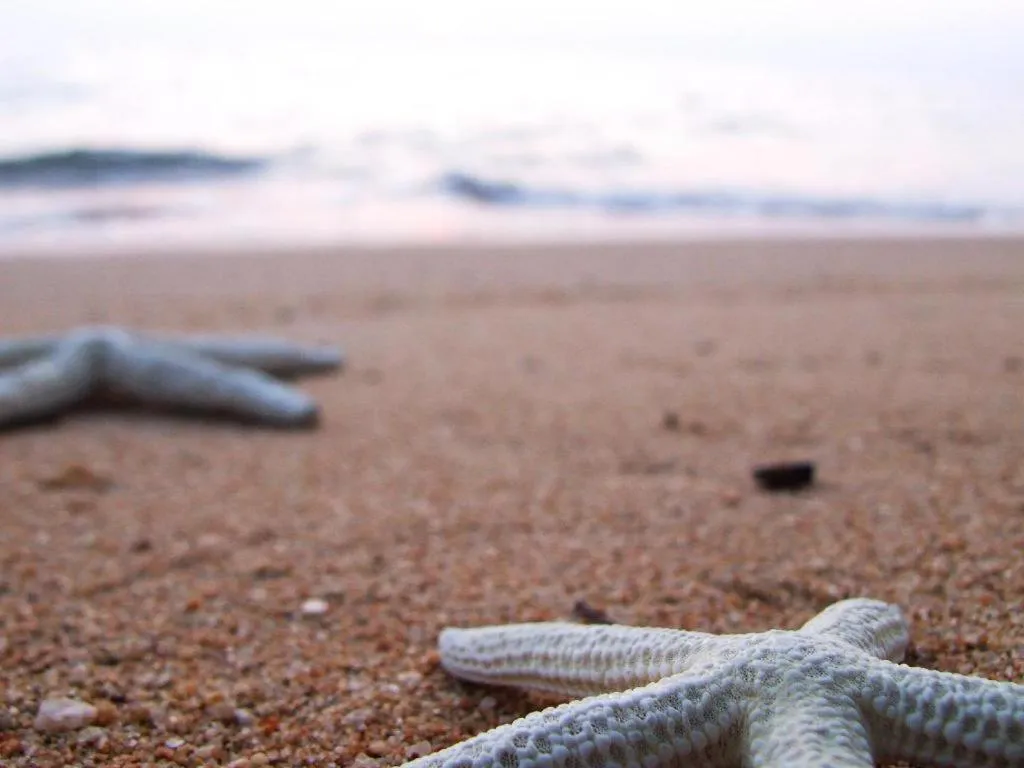 Sarita Chalet and Spa Hotel