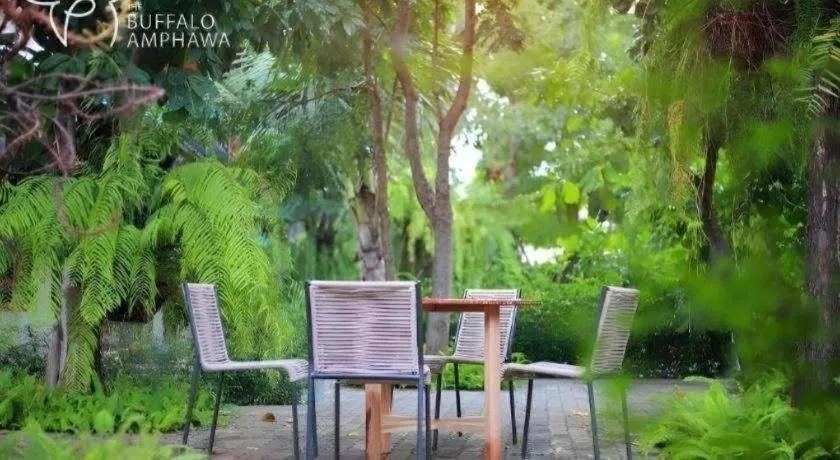 The Buffalo Amphawa
