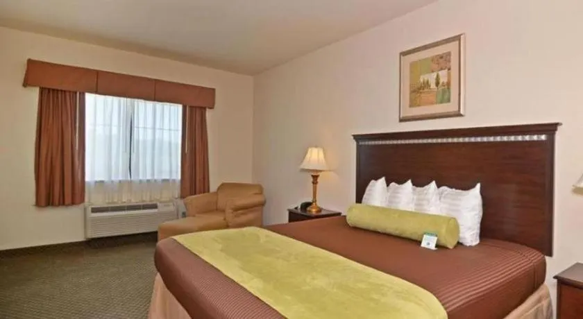 Bed in Best Western La Grange Inn & Suites