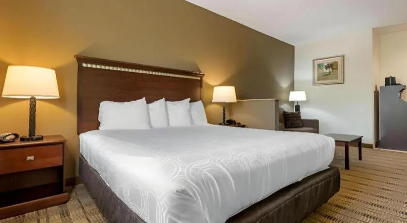 Bed in Best Western La Grange Inn & Suites