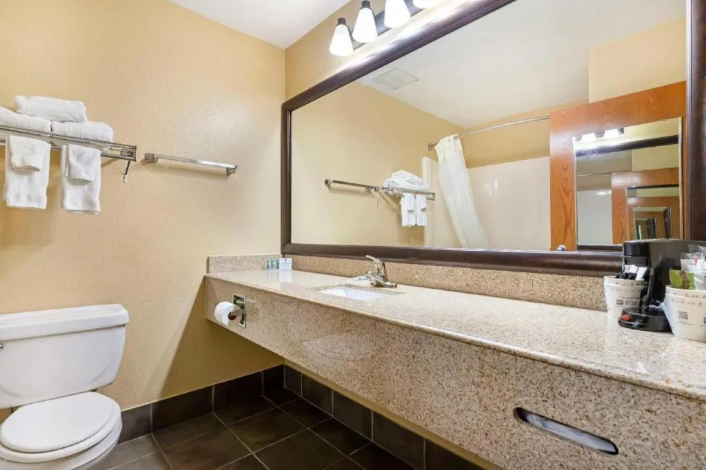 Best Western Locust Grove Inn & Suites